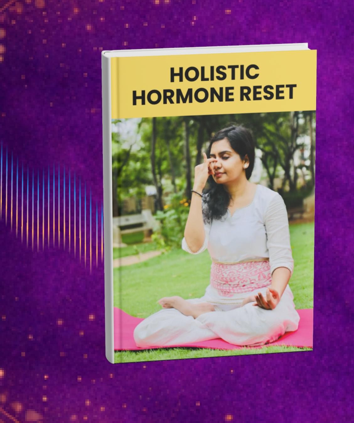 Holistic Hormone Reset program cover